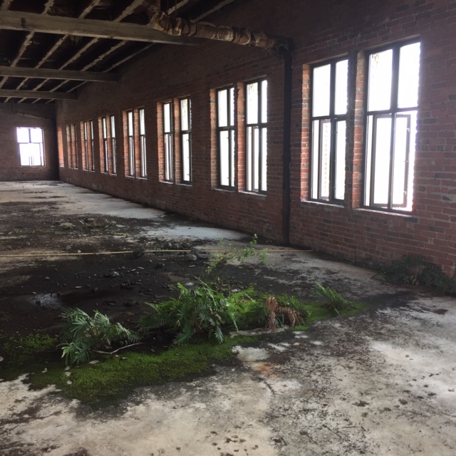 Old Empty Building Interior with weeds
